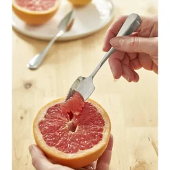 Pradel France Lot de 2 cuillères à pamplemousse