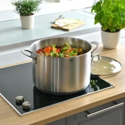 Pradel France Marmite inox